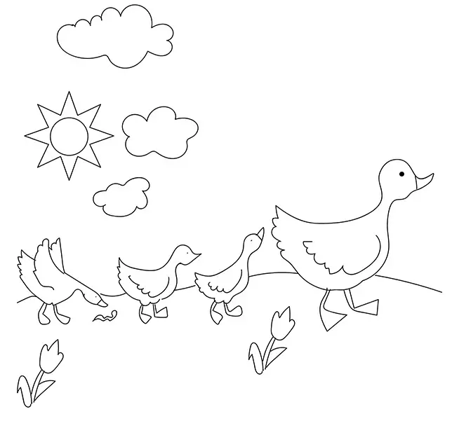 desenho de pato 5