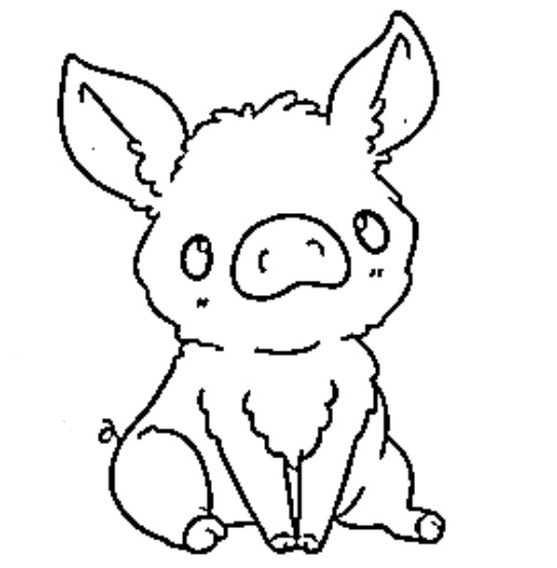 desenho de porco para colorir e pintar