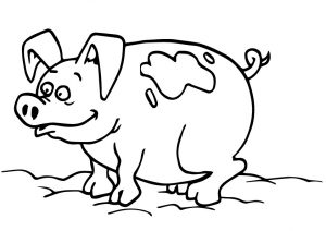 desenho de porco para pintar 5