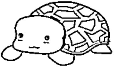 desenho de tartaruga para colorir e pintar