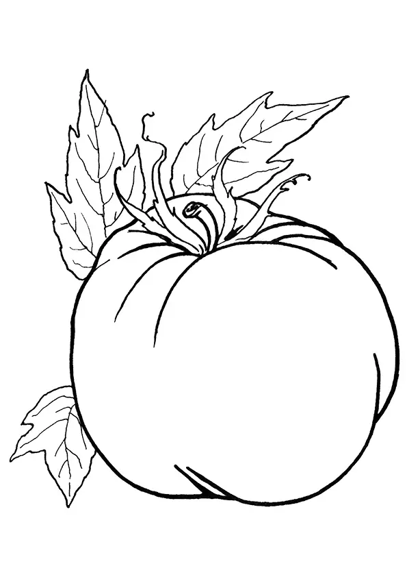 desenho de tomate para pintar 4