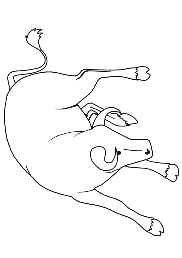 desenho de touro para pintar 2