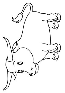 desenho de touro para pintar 4