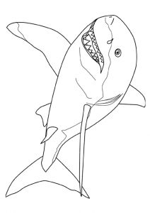 desenho de tubarão para pintar 2