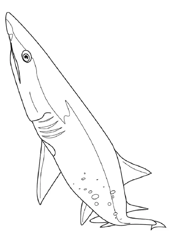 desenho de tubarão para pintar 3