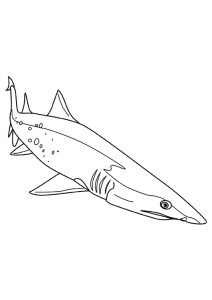desenho de tubarão para pintar 6