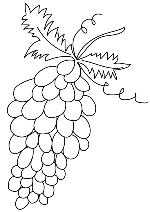 desenho de uva 12