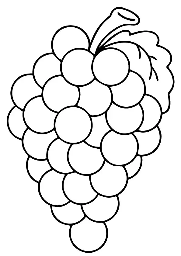 desenho de uva 4