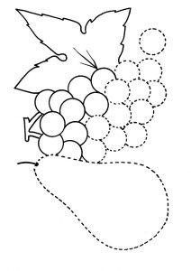 desenho de uva 6