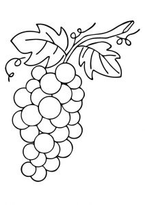desenho de uva 7