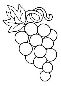 desenho de uva 8