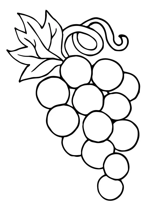 desenho de uva 8