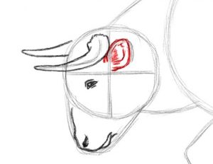 desenho do touro 14