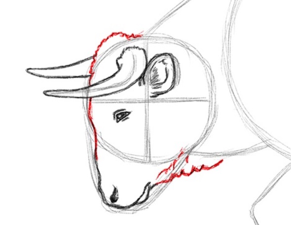 desenho do touro 15