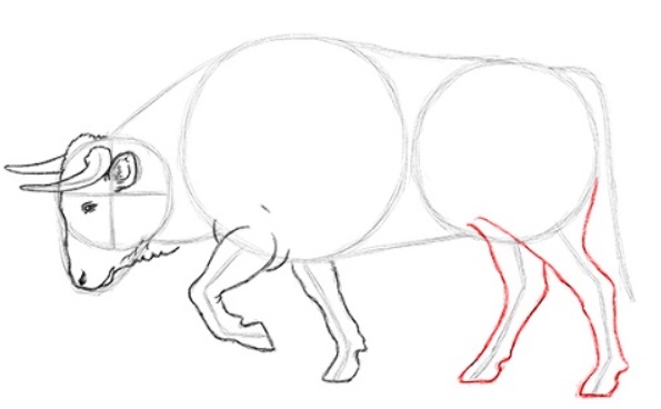 desenho do touro 17