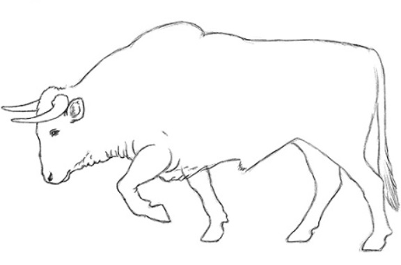 desenho do touro 20