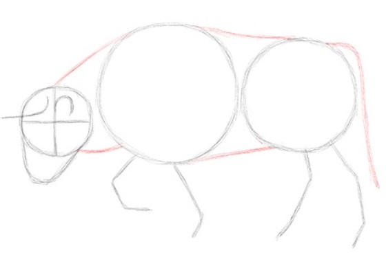 desenho do touro 9