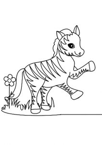 desenhos de zebra para pintar 12