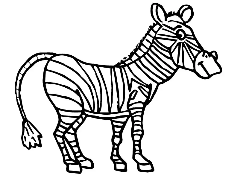 desenhos de zebra para pintar 13