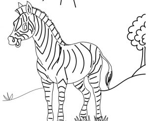 desenhos de zebra para pintar 15