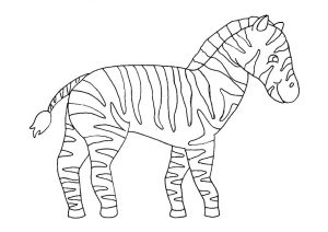 desenhos de zebra para pintar 5