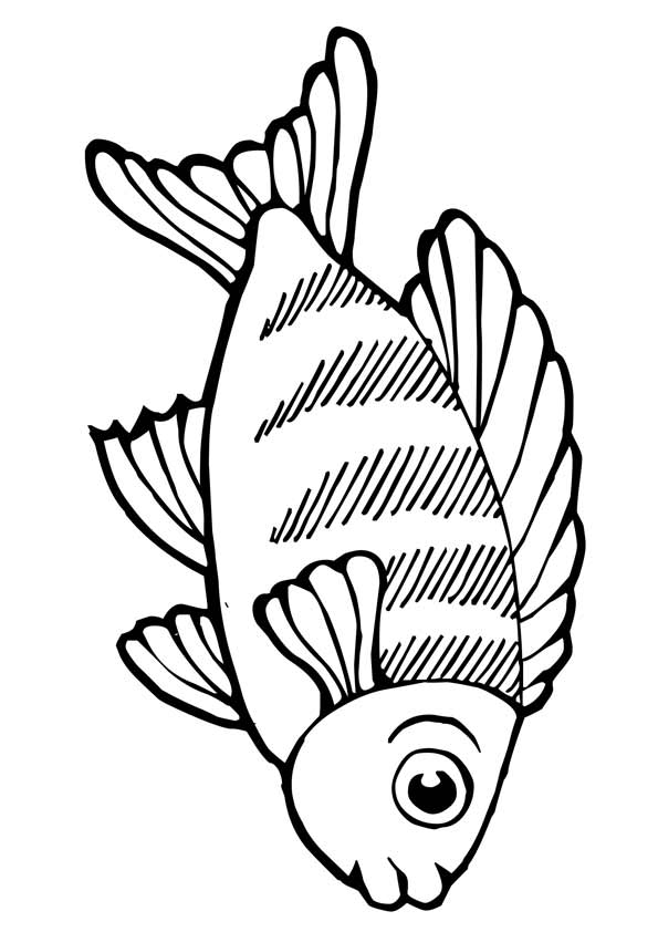 peixe para pintar 1