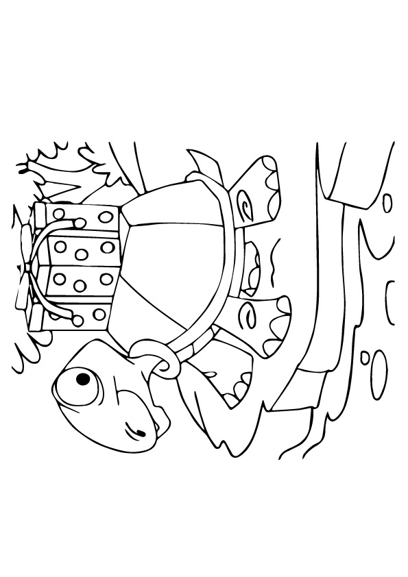 tartaruga para pintar 7