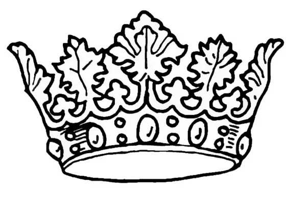 coroa 24