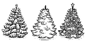 desenho de árvore de natal para colorir 19