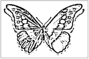desenho de borboleta para colorir 10