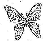 desenho de borboleta para colorir 19