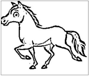 desenho de cavalo para colorir 1