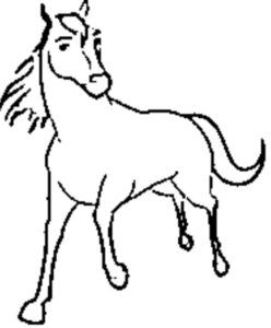 desenho de cavalo para colorir 13