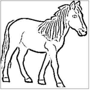 desenho de cavalo para colorir 15