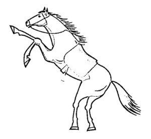 desenho de cavalo para colorir 4
