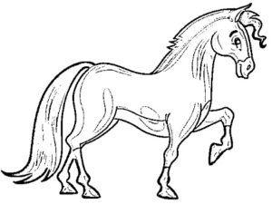 desenho de cavalo para colorir 5