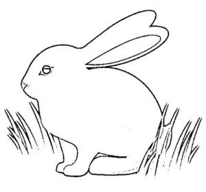desenho de coelho para colorir 13
