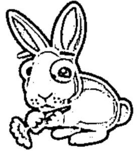 desenho de coelho para colorir 15