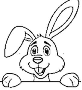desenho de coelho para colorir 19