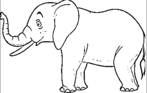 desenho de elefante para colorir 2