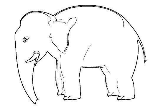 desenho de elefante para colorir 20