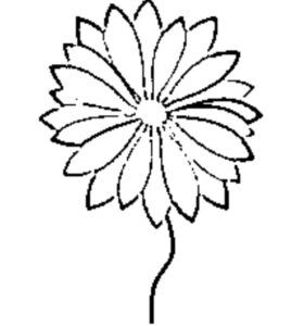 desenho de flores para colorir 18