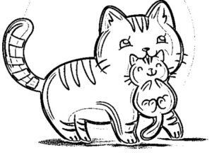 desenho de gato para colorir 5