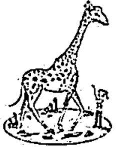 desenho de girafa para colorir 2