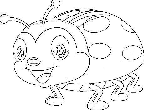 desenho de ladybug para colorir 2