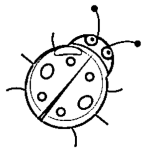 desenho de ladybug para colorir 9