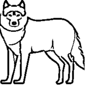 desenho de lobo para colorir 9