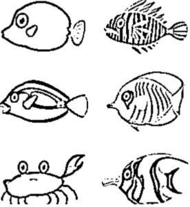 desenho de peixe para colorir 14