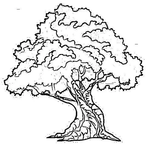 desenho do dia da árvore para colorir 13
