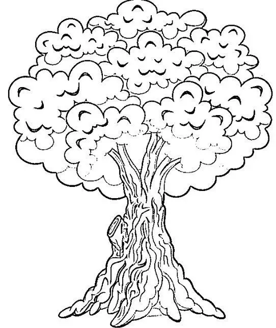desenho do dia da árvore para colorir 15